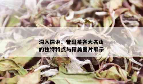 深入探索：普洱茶各大名山的独特特点与精美图片展示