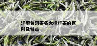 详解普洱茶各大标杆茶的区别及特点