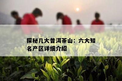 探秘几大普洱茶山：六大知名产区详细介绍