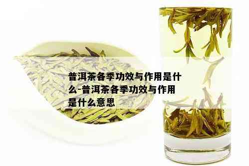 普洱茶各季功效与作用是什么-普洱茶各季功效与作用是什么意思