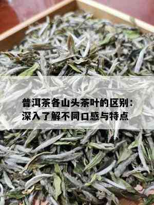 普洱茶各山头茶叶的区别：深入了解不同口感与特点