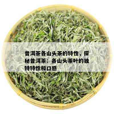 普洱茶各山头茶的特性，探秘普洱茶：各山头茶叶的独特特性和口感