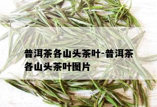 普洱茶各山头茶叶-普洱茶各山头茶叶图片