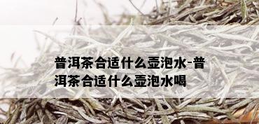 普洱茶合适什么壶泡水-普洱茶合适什么壶泡水喝