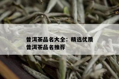 普洱茶品名大全：精选优质普洱茶品名推荐