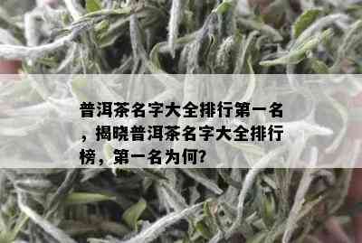 普洱茶名字大全排行之一名，揭晓普洱茶名字大全排行榜，之一名为何？