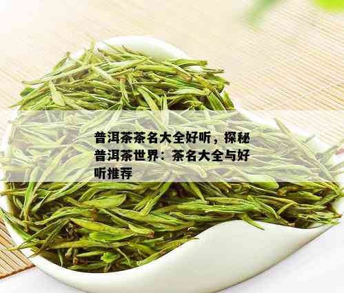 普洱茶茶名大全好听，探秘普洱茶世界：茶名大全与好听推荐