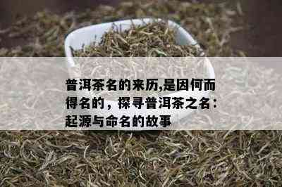 普洱茶名的来历,是因何而得名的，探寻普洱茶之名：起源与命名的故事