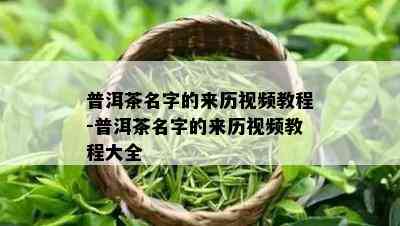 普洱茶名字的来历视频教程-普洱茶名字的来历视频教程大全