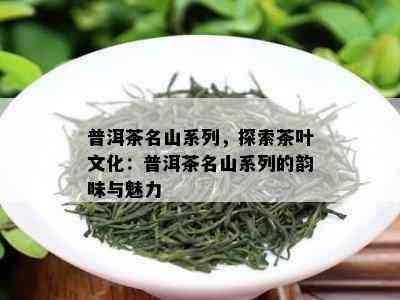 普洱茶名山系列，探索茶叶文化：普洱茶名山系列的韵味与魅力