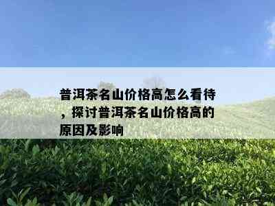 普洱茶名山价格高怎么看待，探讨普洱茶名山价格高的原因及影响