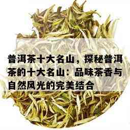 普洱茶十大名山，探秘普洱茶的十大名山：品味茶香与自然风光的完美结合