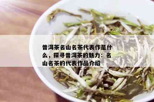 普洱茶名山名茶代表作是什么，探寻普洱茶的魅力：名山名茶的代表作品介绍