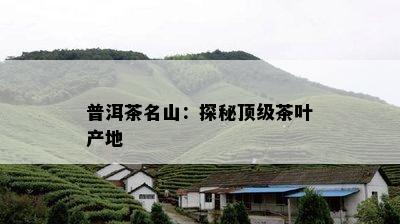 普洱茶名山：探秘顶级茶叶产地