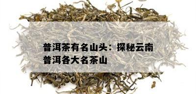 普洱茶有名山头：探秘云南普洱各大名茶山