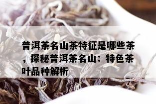 普洱茶名山茶特征是哪些茶，探秘普洱茶名山：特色茶叶品种解析