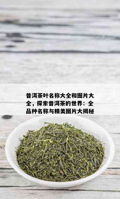 普洱茶叶名称大全和图片大全，探索普洱茶的世界：全品种名称与精美图片大揭秘