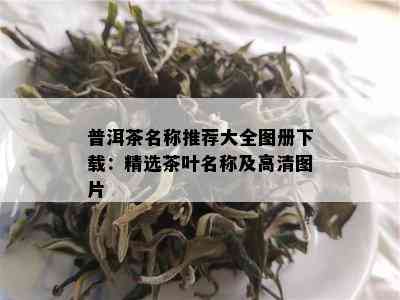 普洱茶名称推荐大全图册下载：精选茶叶名称及高清图片