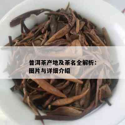 普洱茶产地及茶名全解析：图片与详细介绍