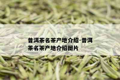 普洱茶名茶产地介绍-普洱茶名茶产地介绍图片