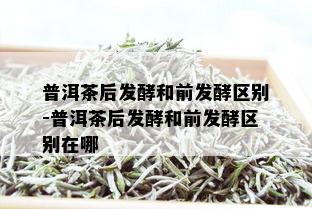 普洱茶后发酵和前发酵区别-普洱茶后发酵和前发酵区别在哪