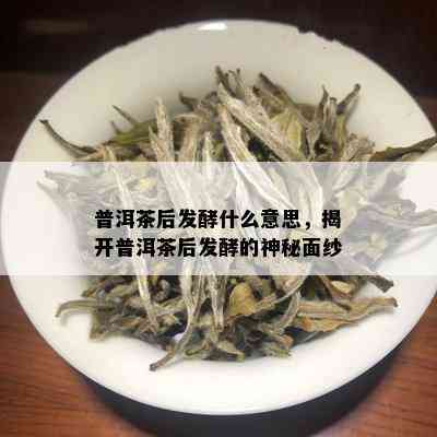 普洱茶后发酵什么意思，揭开普洱茶后发酵的神秘面纱