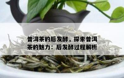 普洱茶的后发酵，探索普洱茶的魅力：后发酵过程解析