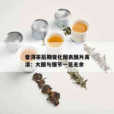 普洱茶后期变化图表图片高清：大图与细节一览无余