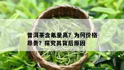 普洱茶含氟量高？为何价格昂贵？探究其背后原因