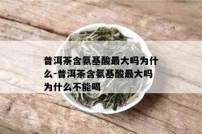 普洱茶含氨基酸更大吗为什么-普洱茶含氨基酸更大吗为什么不能喝