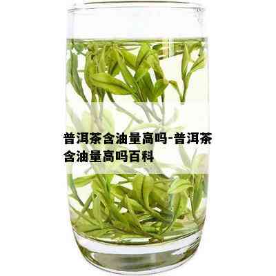 普洱茶含油量高吗-普洱茶含油量高吗百科