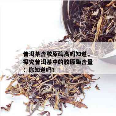 普洱茶含胶原酶高吗知道，探究普洱茶中的胶原酶含量：你知道吗？