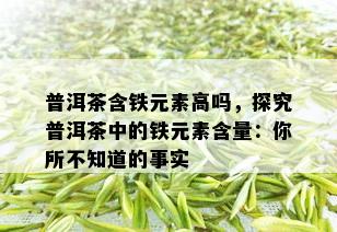 普洱茶含铁元素高吗，探究普洱茶中的铁元素含量：你所不知道的事实