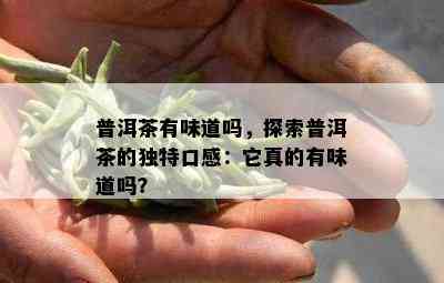 普洱茶有味道吗，探索普洱茶的独特口感：它真的有味道吗？