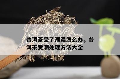 普洱茶受了潮湿怎么办，普洱茶受潮处理方法大全