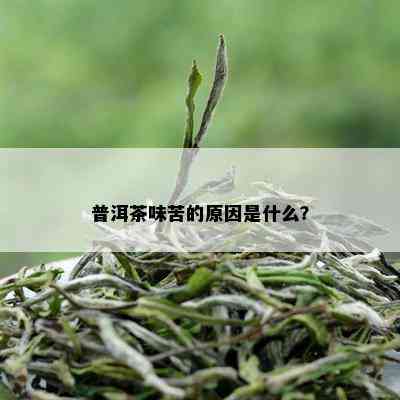 普洱茶味苦的原因是什么？