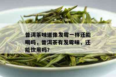 普洱茶味道像发霉一样还能喝吗，普洱茶有发霉味，还能饮用吗？