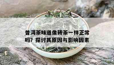 普洱茶味道像砖茶一样正常吗？探讨其原因与影响因素