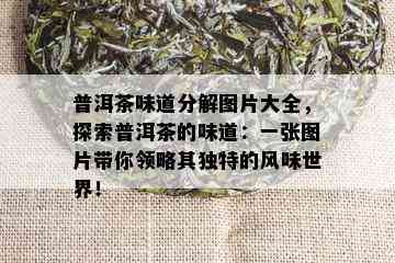 普洱茶味道分解图片大全，探索普洱茶的味道：一张图片带你领略其独特的风味世界！