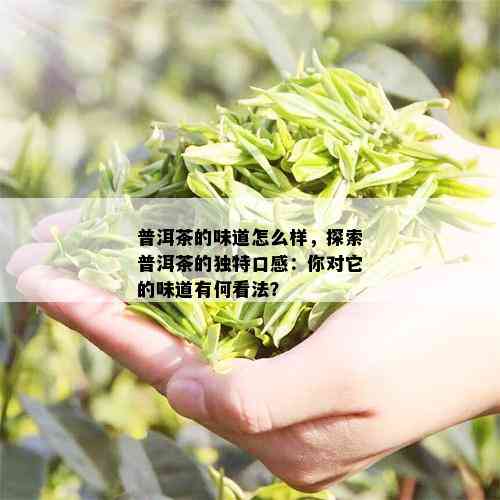 普洱茶的味道怎么样，探索普洱茶的独特口感：你对它的味道有何看法？