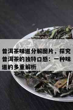 普洱茶味道分解图片，探究普洱茶的独特口感：一种味道的多重解析