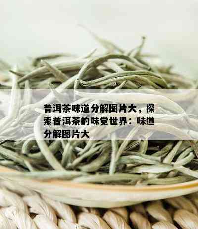 普洱茶味道分解图片大，探索普洱茶的味觉世界：味道分解图片大