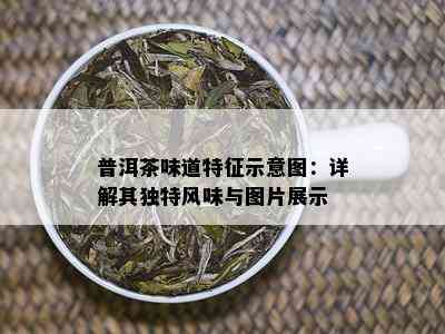 普洱茶味道特征示意图：详解其独特风味与图片展示