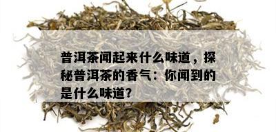 普洱茶闻起来什么味道，探秘普洱茶的香气：你闻到的是什么味道？