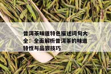 普洱茶味道特色描述词句大全：全面解析普洱茶的味道特性与品尝技巧