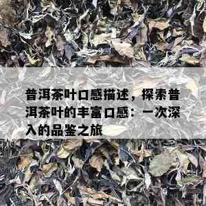 普洱茶叶口感描述，探索普洱茶叶的丰富口感：一次深入的品鉴之旅