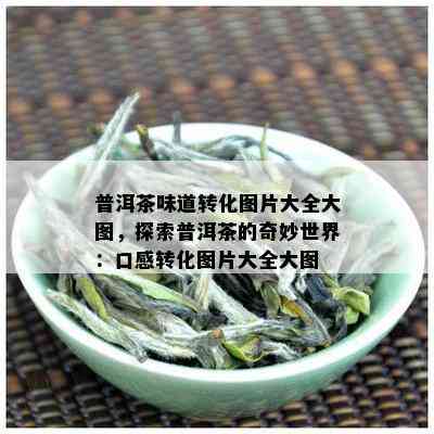 普洱茶味道转化图片大全大图，探索普洱茶的奇妙世界：口感转化图片大全大图