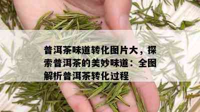 普洱茶味道转化图片大，探索普洱茶的美妙味道：全图解析普洱茶转化过程