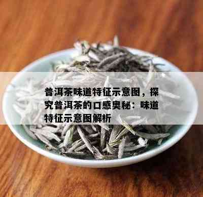 普洱茶味道特征示意图，探究普洱茶的口感奥秘：味道特征示意图解析