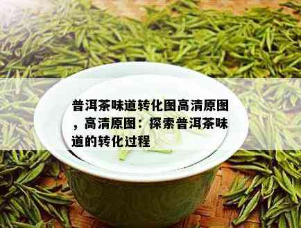 普洱茶味道转化图高清原图，高清原图：探索普洱茶味道的转化过程